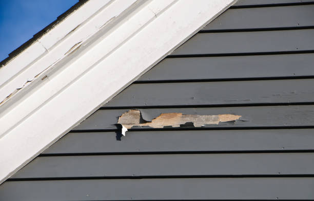 Best Siding Painting and Refinishing  in Springfield, OH