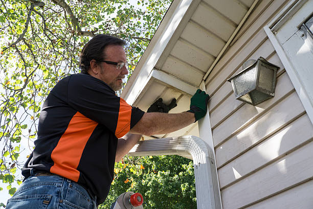 Best Stone Veneer Siding  in Springfield, OH